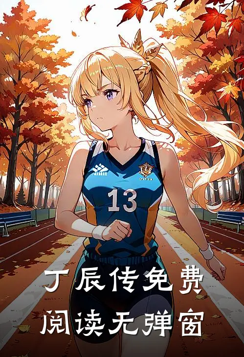 丁辰传免费阅读无弹窗